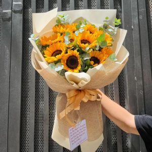 Hoa Hướng Dương Tốt Nghiệp