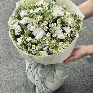 Cúc Tana Mix (Vintage Love)